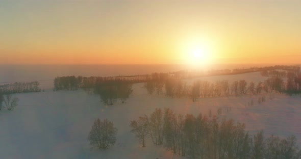 Aerial Drone View of Cold Winter Landscape with Arctic Field Trees Covered with Frost Snow and