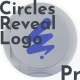 Porcelain Circles Reveal Logo - VideoHive Item for Sale
