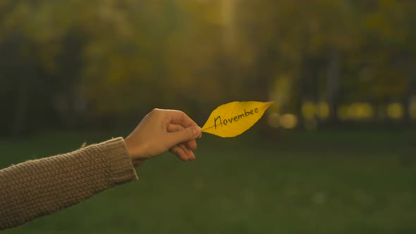 November Written on Autumn Leaf