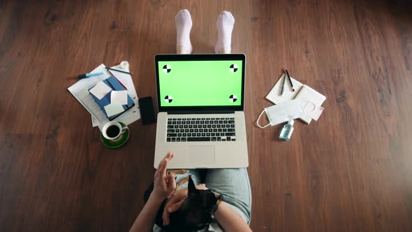 Top View of Woman Working with Laptop with Green Chroma Key Screen Home with Dog