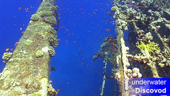 Shipwreck Salem Express in Red Sea 5