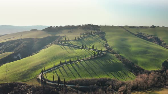 Most famous road in Tuscany Cypress Road