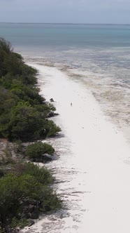 Vertical Video of Low Tide in the Ocean Near the Coast of Zanzibar Tanzania