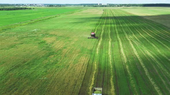 The Harvester Works in the Field Harvesting at the End of Summer. View From Above