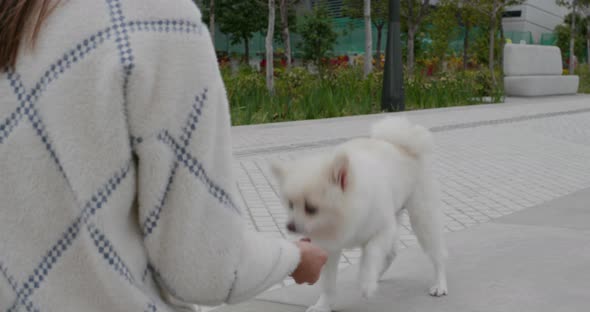 Woman Cuddle Her Dog at Outdoor