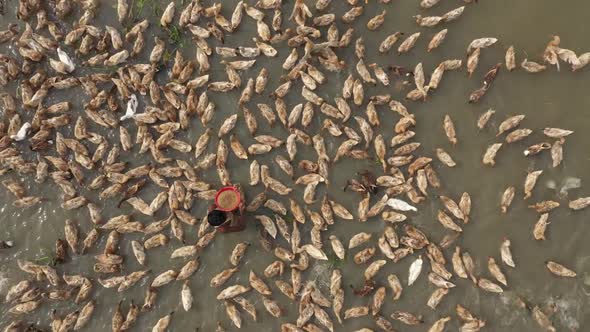 Aerial view of a fisherman along Baulai river in Sylhet state, Bangladesh.