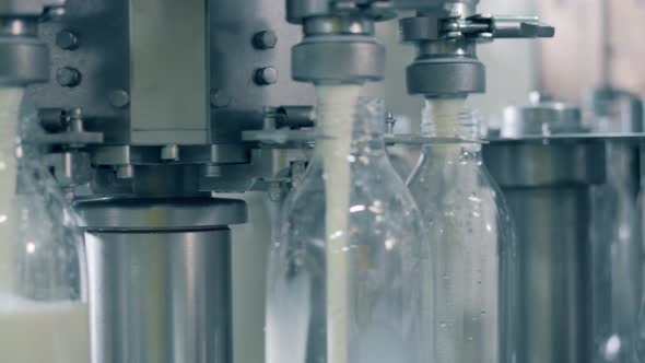 Close Up of Milk Pouring Into Bottles Through the Plant Machine