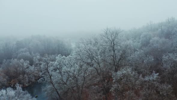 River in the forest in winter. 