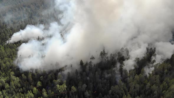 Aerial Footage Fire and Smoke Siberia Russia