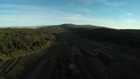 Aerial shot of agriculture fields on Krk Island