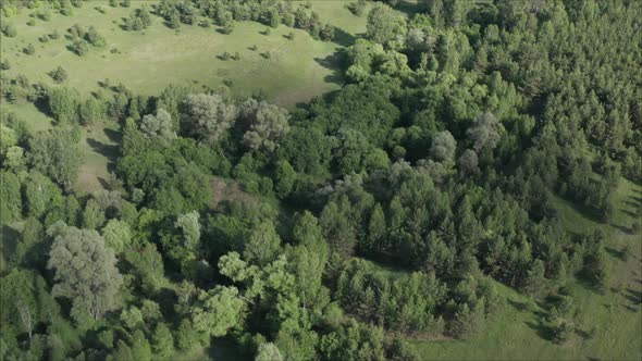 Forest Steppe Belt of Russia Removed From the Drone