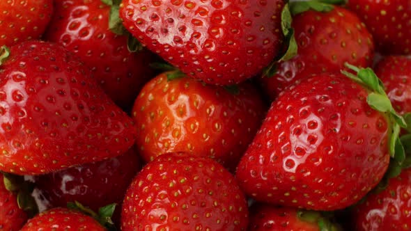 Juicy ripe exotic strawberry rotates on a white background 360. Eco fruits and berries summer.