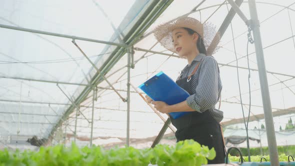 Asian young beautiful woman farmer work in vegetables hydroponic farm.