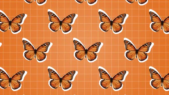 Butterfly Background