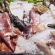 Close Up Footage of a Variety of Fresh Seafood on the Counter with Fine Crushed Ice Crabs Lobsters - VideoHive Item for Sale
