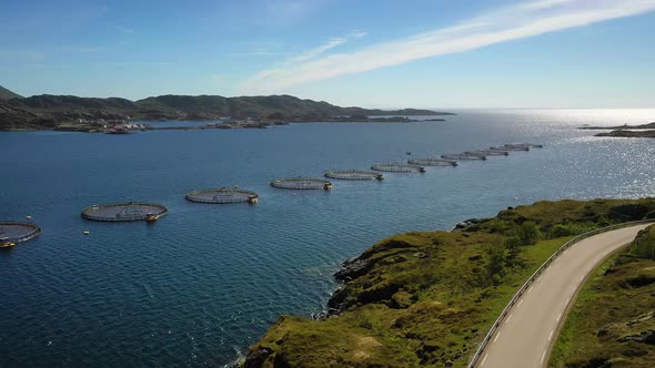 Farm Salmon Fishing in Norway