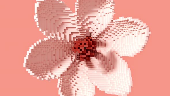 Transformation of a 3D pixel into a digital blooming flower
