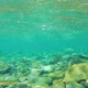 Slow Motion Limpid Fresh Clean River Water and Rocks in Quebec, Canada - VideoHive Item for Sale