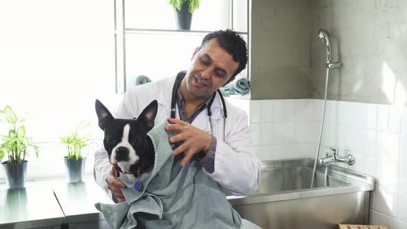 Cheerful Mature Male Vet Drying Cute Dog After Washing at the Clinic
