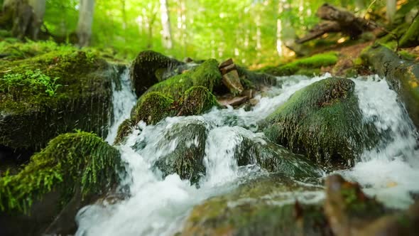 HDR Slow Motion Shot of Small Mountain Forest Stream with Crystal Clear Water