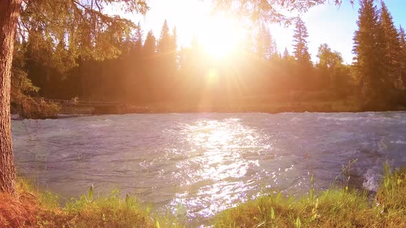 Meadow at Mountain River Bank. Landscape with Green Grass, Pine Trees and Sun Rays