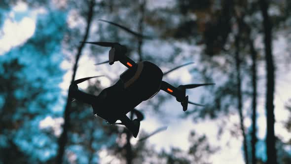 Drone with a Camera Hovers in the Air. Flies Above the Ground in the Forest. Slow Motion