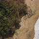 Aerial Top Down View of Tropical Forest in Summer Day and Sandy Beach - VideoHive Item for Sale