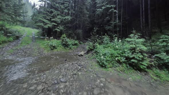 Smooth Flight Over a Mountain River Close to the Water Among a Dense Forest