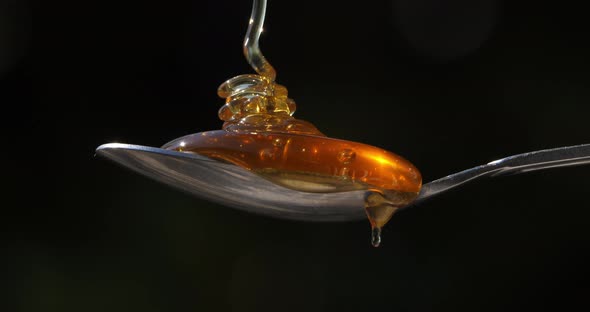 Honey Pouring On Spoon