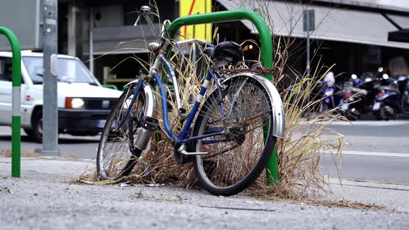 Small Chained Bicycle Leaned on Thin Green Bar and Dry Grass