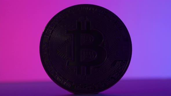 Bitcoin in Shadow and light. Cryptocurrency bitcoin and Pink Blue color light mood tone.