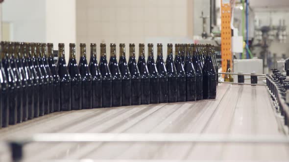 Red Wine bottles on a conveyor belt in a wine bottling factory.