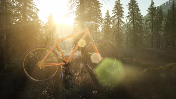 Bicycle in Mountain Forest at Sunset alt