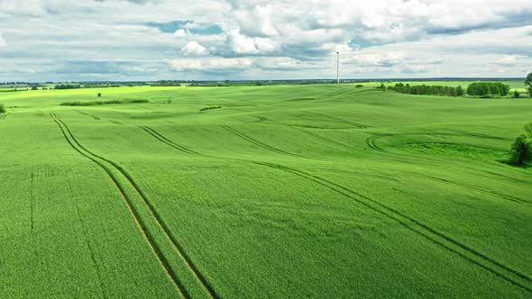 Aerial view of green field with tractor tracks in Poland