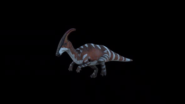 Parasaurolophus Dinosaur Running