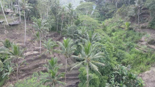 Aerial view of Tegalalang Bali rice terraces.