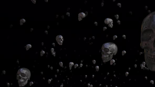 Skull Background Loop