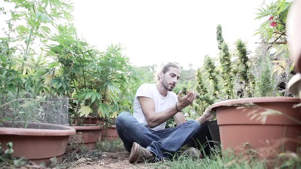 Young Man Sitting in Personal Marijuana Garden Enjoying the Smell of the Plants