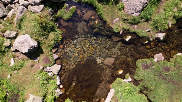 A Small Pond and a Stream in a Mountain Forest