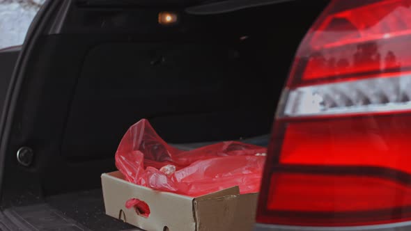 The Worker Puts the Box of Frozen Meat in the Trunk of the Car