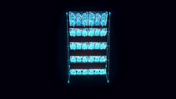 Market Rack Chocolate Hologram Rotating 4K