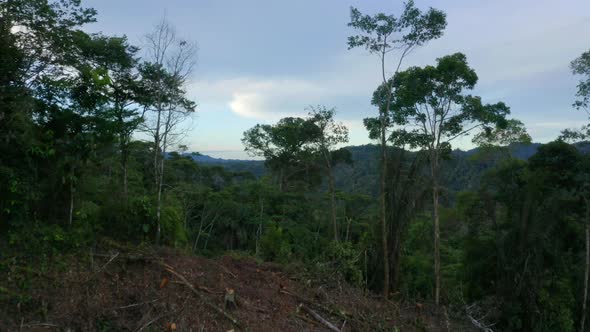 Aerial view over a deforested area before revealing a vast tropical forest
