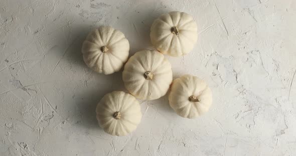 White Ripe Pumpkins Laid Together