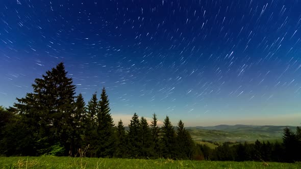 Beautiful Footage of Hillside of Mountain Range with Coniferous Forest and Meadow Path at Night in