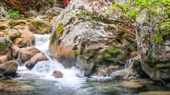 Stream Running Fast in Summer Green Forest