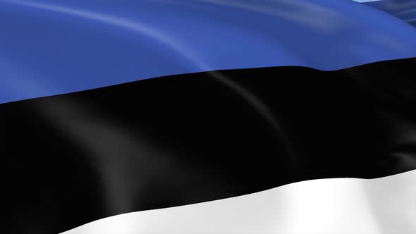 Estonia Flag