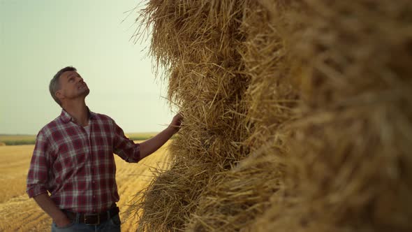 Farmer Examining Hay Pile at Countryside