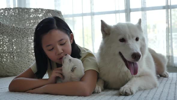 Beautiful Asian Girl Lying With Siberian Husky Puppy