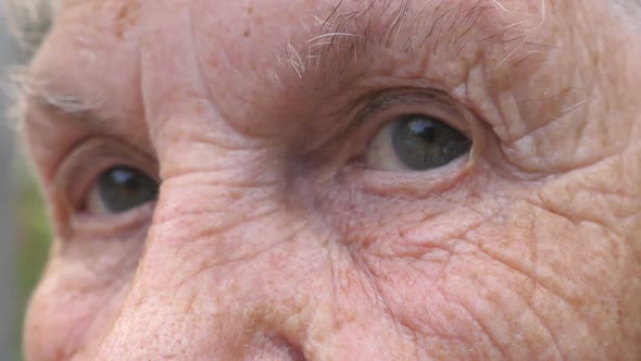 Close Up Gray Eyes of Elderly Woman with Wrinkles Around Them. Portrait of Grandmother