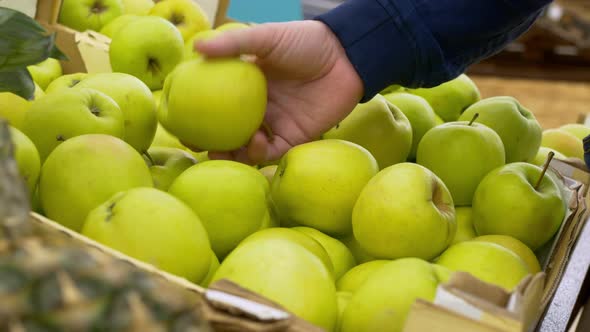 A Man Holds in His Hands a Beautiful Green Apple Taken From a Store Shelf Buying Apples at a Fair a